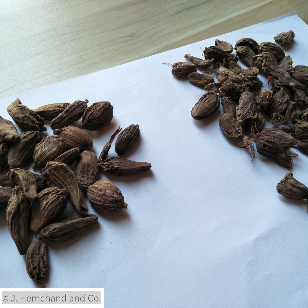 cardamom