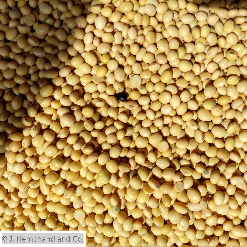asafoetida